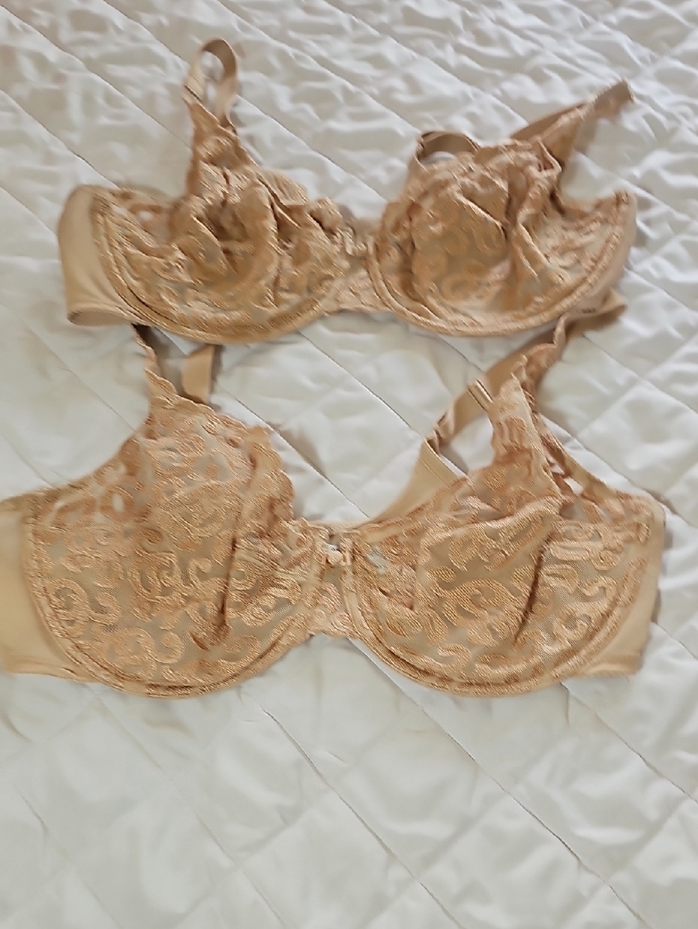 Wacoal Beige Lace Underwire Bra